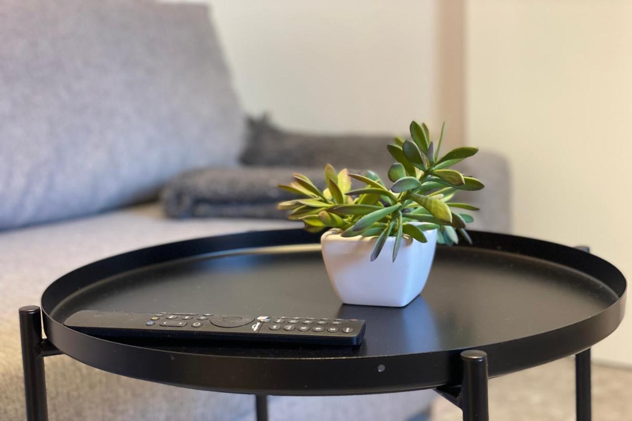 Apartamentos Mk77 Leon - Lahoz מראה חיצוני תמונה